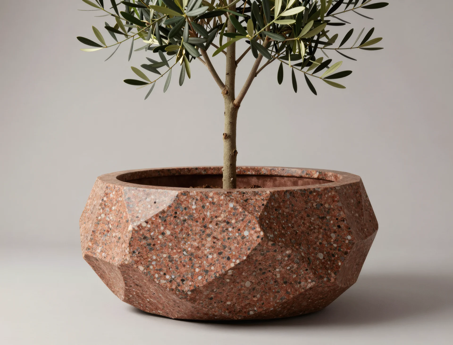 TUNDRA PLANTER — Studio